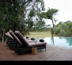 Phinda Forest Lodge